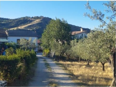 Photo of the lot 2