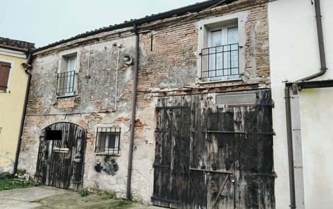 Photo of the lot 3