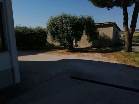 Photo of the lot 4
