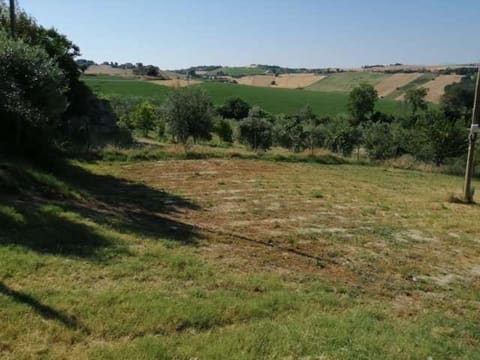 Photo of the lot 5