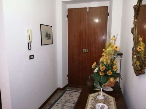 Photo of the lot 8