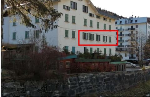 Photo of the lot 3
