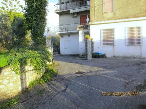 Photo of the lot 2