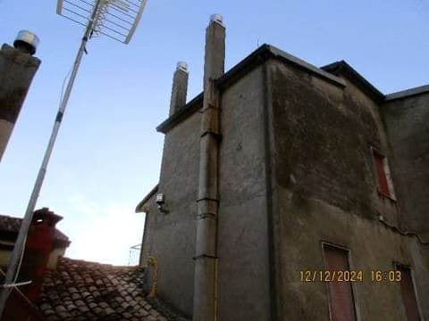 Photo of the lot 3