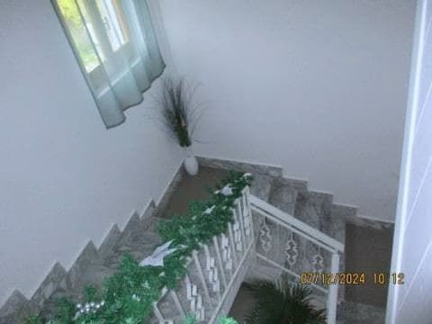 Photo of the lot 4