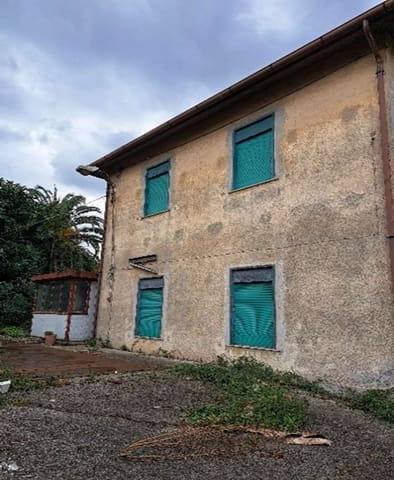 Photo of the lot 5
