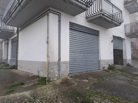 Photo of the lot 2