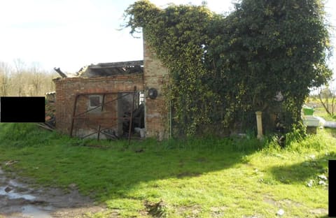 Photo of the lot 6