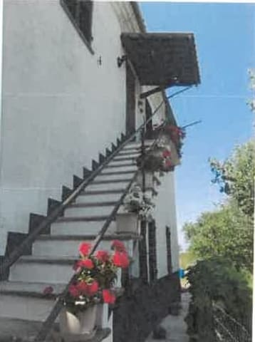 Photo of the lot 2