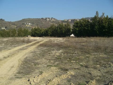 Photo of the lot 3