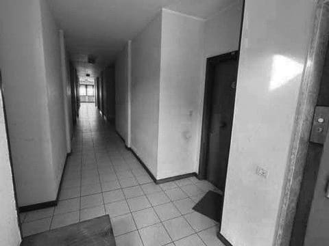 Photo of the lot 2