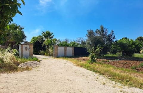 Photo of the lot 2