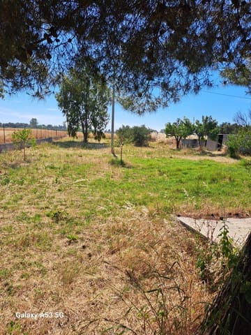 Photo of the lot 5