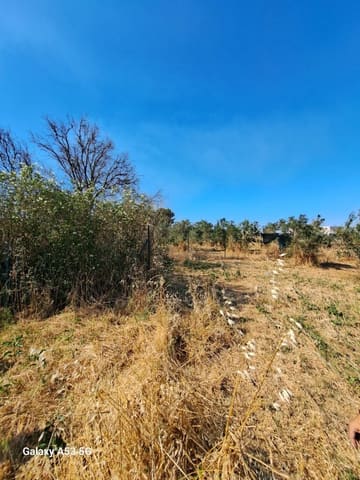 Photo of the lot 6