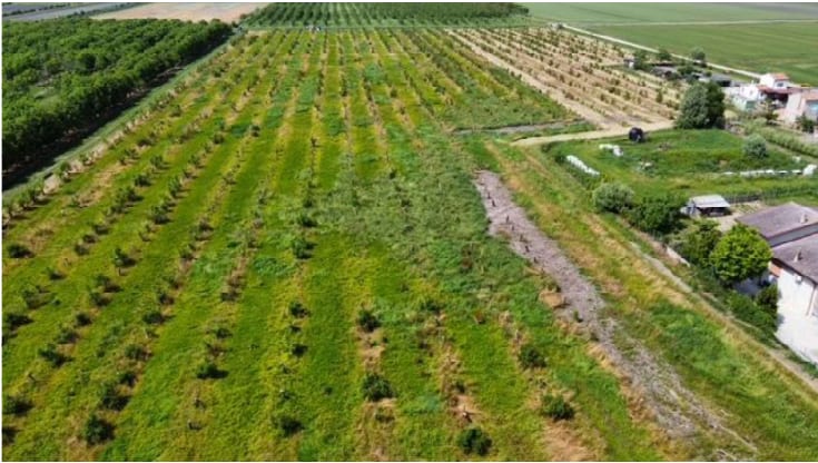 Photo of the lot: Altra categoria in Villadose