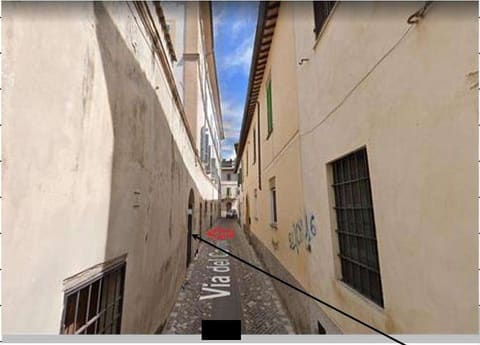 Photo of the lot 2