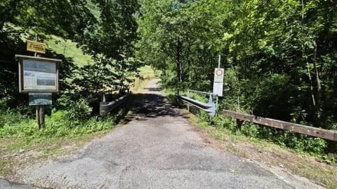 Photo of the lot 2