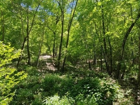 Photo of the lot 5