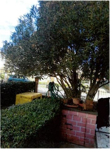 Photo: Immobile residenziale in Foligno (PG)