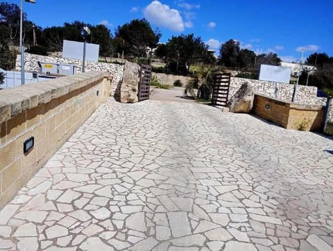 Photo of the lot 3