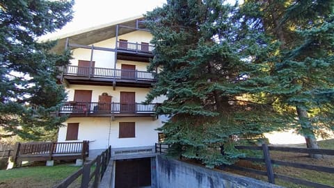Photo of the lot 2