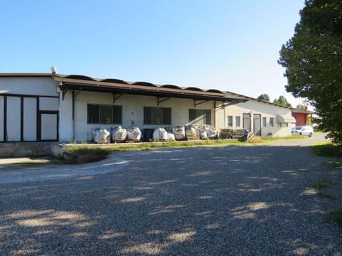 Photo of the lot 2