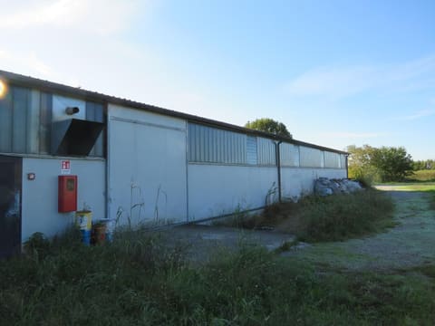 Photo of the lot 3
