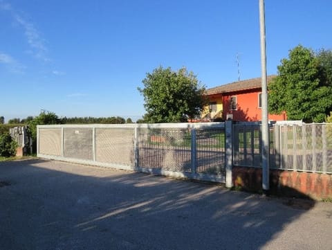 Photo of the lot 4