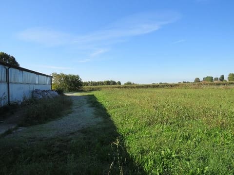 Photo of the lot 5