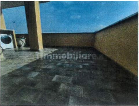 Photo of the lot 3