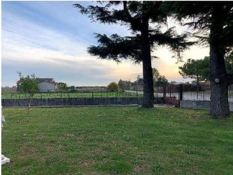 Photo of the lot 2