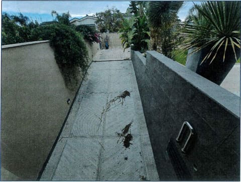 Photo of the lot 9