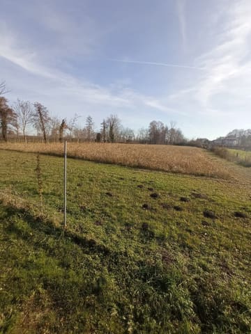 Photo: Land in San Vendemiano (TV)