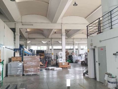 Photo of the lot 6
