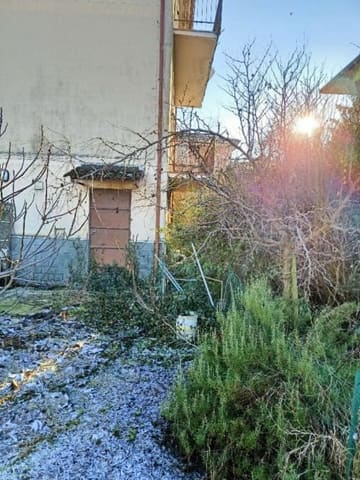 Photo of the lot 3
