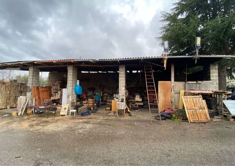Photo of the lot 3