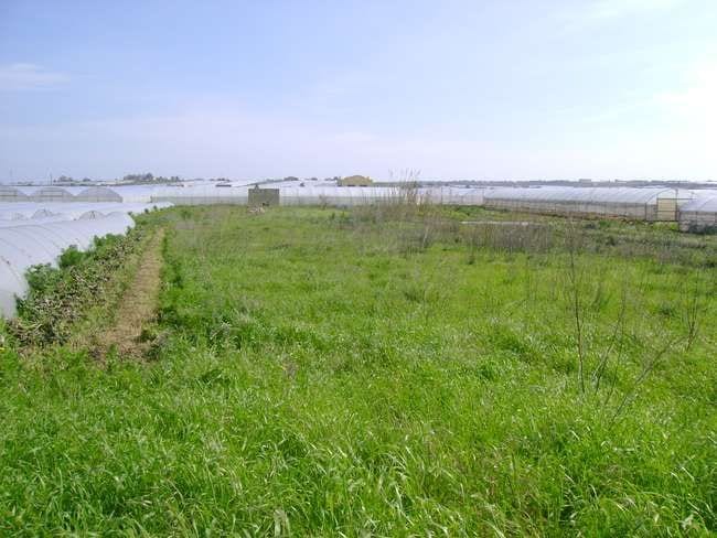 Photo of the lot: Land in Pachino