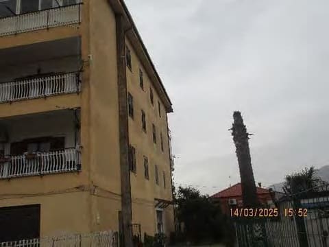 Photo of the lot 2