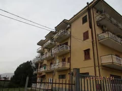 Photo of the lot 3