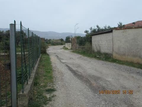 Photo of the lot 8