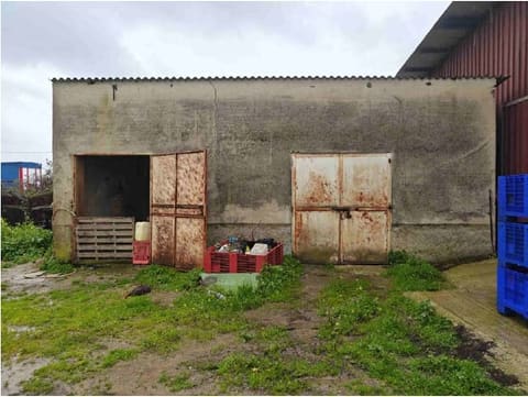 Photo of the lot 3
