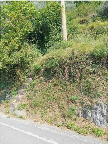 Photo of the lot 1