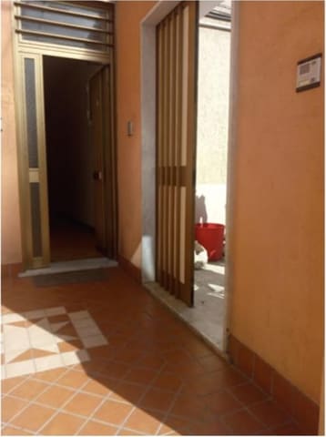 Photo of the lot 6