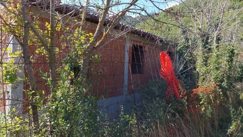 Photo of the lot 1