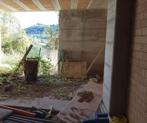 Photo of the lot 3