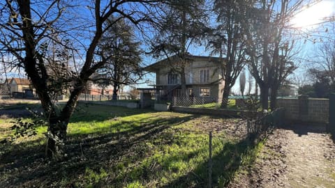Photo of the lot 1