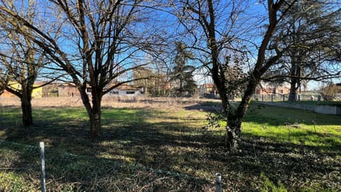 Photo of the lot 2