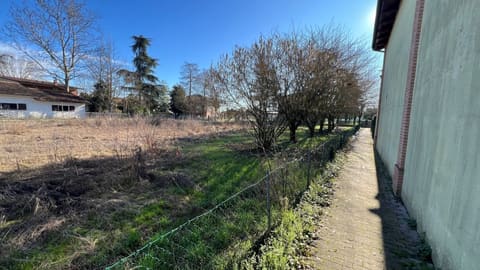 Photo of the lot 3