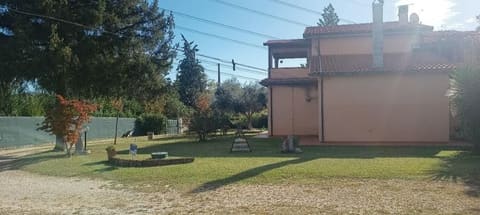 Photo of the lot 2