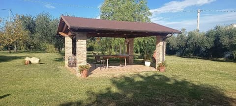 Photo of the lot 3